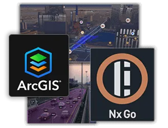 Nx Go